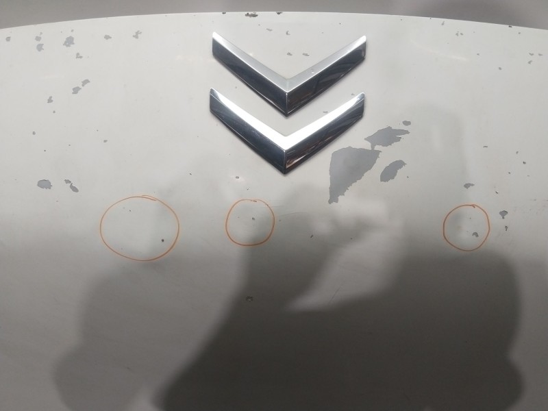 Recambio de capot para citroën nemo furgoneta/monovolumen (aa_) 1.4 hdi referencia OEM IAM   