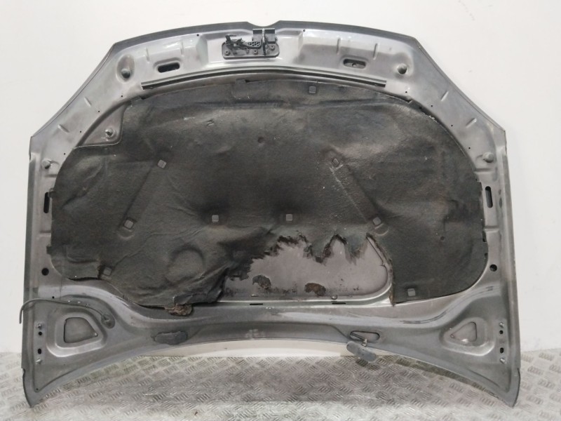 Recambio de capot para volkswagen golf v (1k1) 2.0 tdi 16v referencia OEM IAM   