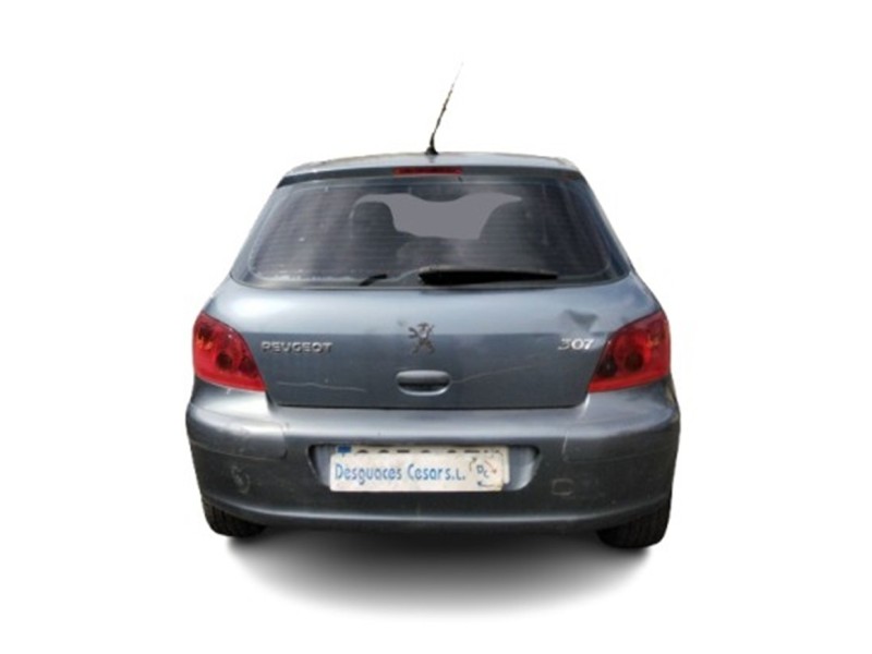peugeot 307 (3a/c) del año 2004 peugeot 307 (3a/c) del año 2004