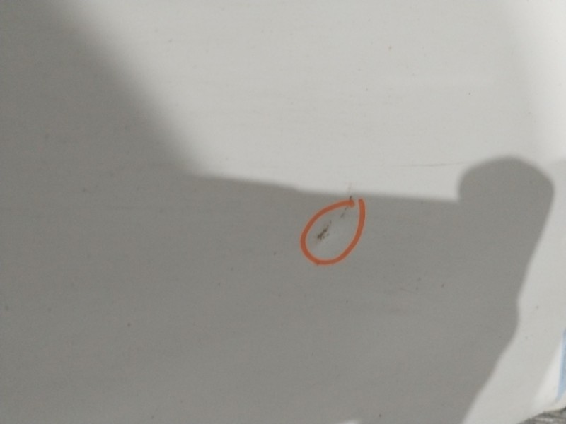 Recambio de capot delantero para fiat doblo autobús (263_) 1.3 d multijet (263axc1a) referencia OEM IAM 0000051810378  