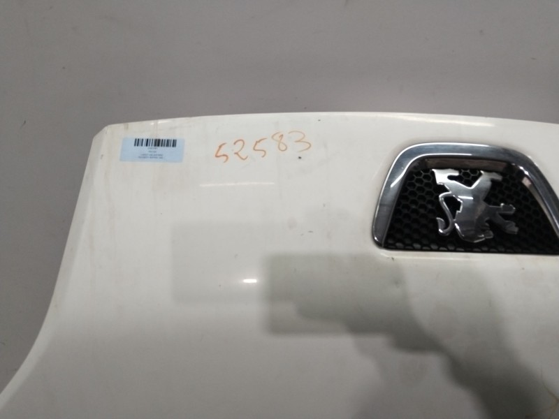 Recambio de capot delantero para peugeot bipper (aa_) 1.3 hdi 75 referencia OEM IAM 7901Q0  