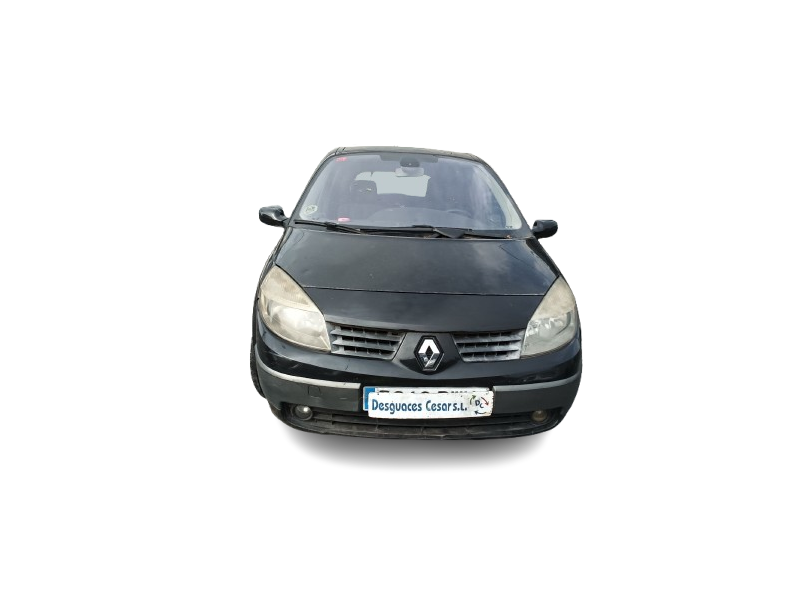 renault scénic ii (jm0/1_) del año 2006