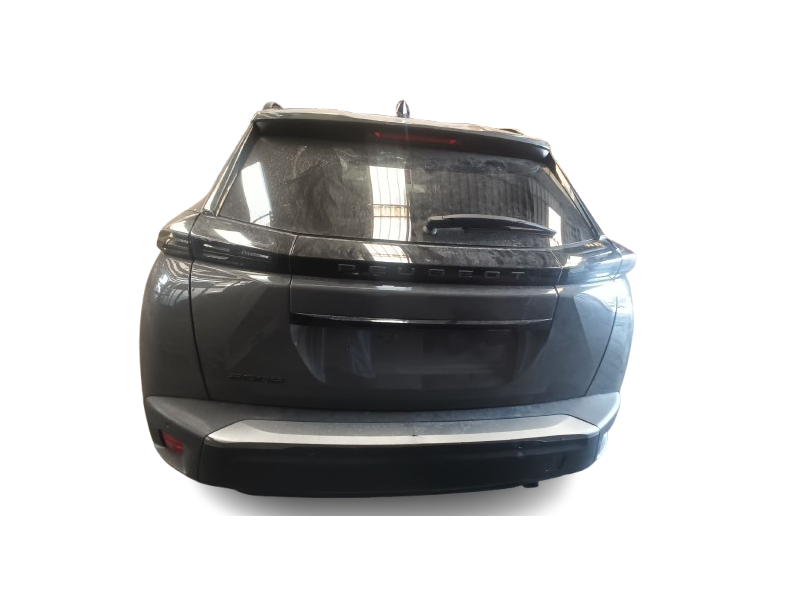 peugeot 2008 ii (ud_, us_, uy_, uj_, ur_, uc_) del año 2023