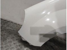 Recambio de aleta delantera izquierda para renault kangoo express (fw0/1_) 1.5 dci 90 (fw0g, fw05, fw08, fw11) referencia OEM IA 2