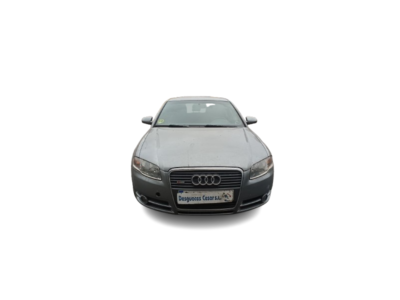 audi a4 b7 avant (8ed) del año 2006