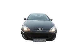 peugeot 407 (6d_) del año 2006