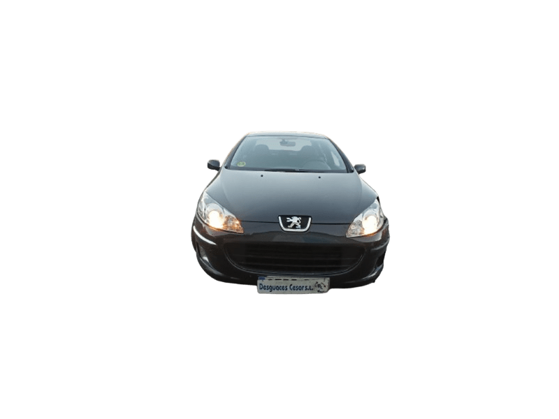 peugeot 407 (6d_) del año 2006