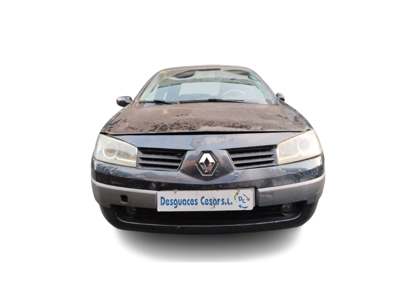 renault megane ii (bm0/1_, cm0/1_) del año 2007