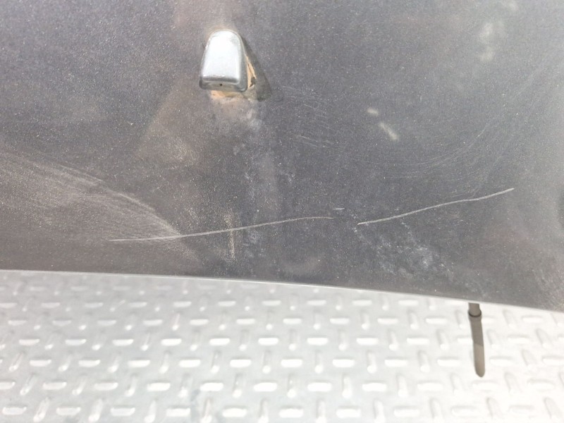 Recambio de capot para volvo v50 (545) d5 referencia OEM IAM 31371415  