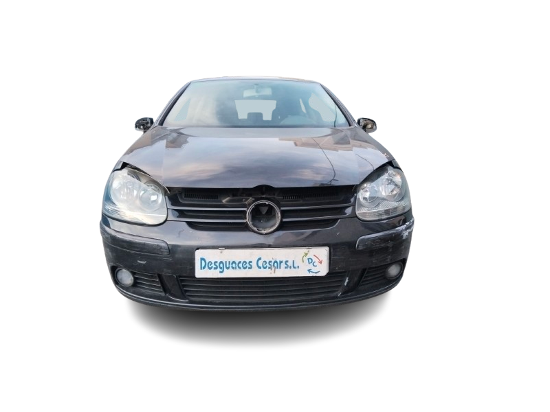 volkswagen golf v (1k1) del año 2004