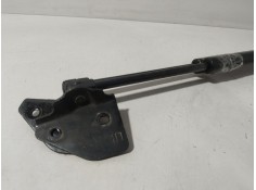 Recambio de amortiguadores maletero / porton para nissan pathfinder iii (r51) 2.5 dci 4wd referencia OEM IAM    2