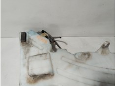 Recambio de deposito limpia para nissan pathfinder iii (r51) 2.5 dci 4wd referencia OEM IAM 28910EB500   2