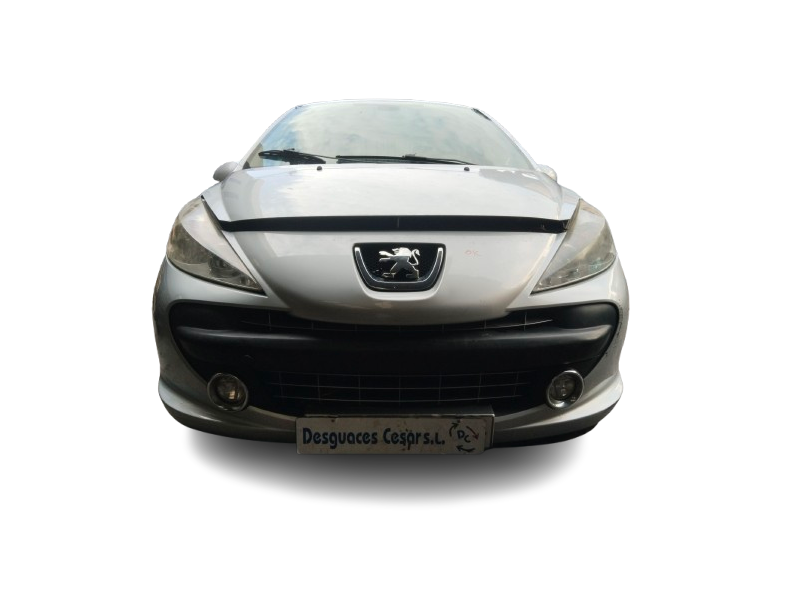peugeot 207/207+ (wa_, wc_) del año 2009