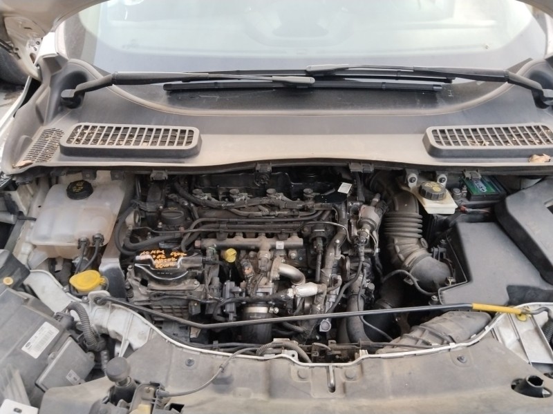 ford kuga ii (dm2) del año 2015