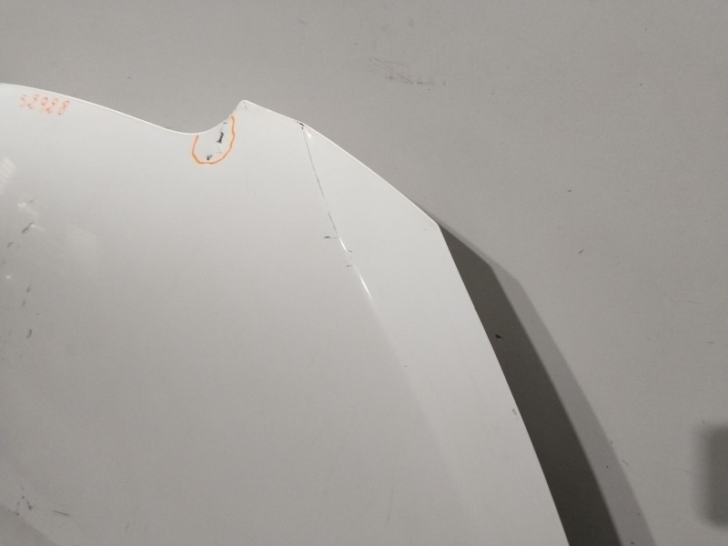 Recambio de capot para nissan nv200 furgoneta e-nv (me0n) referencia OEM IAM F51004FAMA  