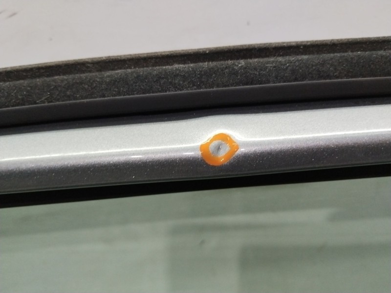 Recambio de puerta trasera izquierda para renault scénic iii (jz0/1_) 1.5 dci referencia OEM IAM 821017991R  