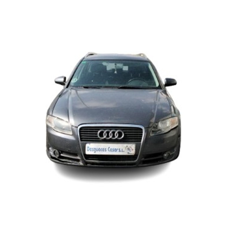 AUDI A4 B7 (8EC) - imagen 1
