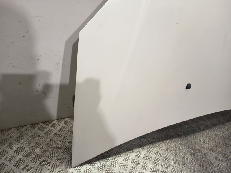 Recambio de capot delantero para fiat doblo furgoneta/monovolumen (223_) 1.3 d multijet referencia OEM IAM 0000046743226  