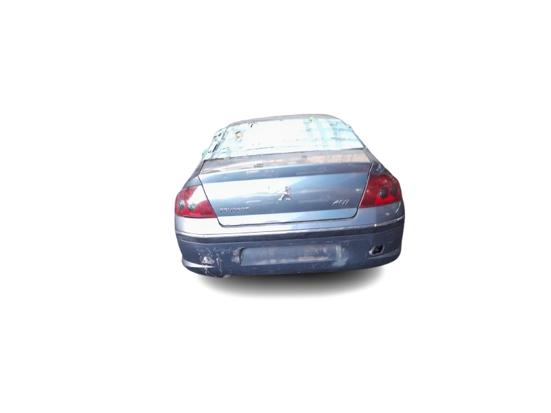 peugeot 407 (6d_) del año 2004