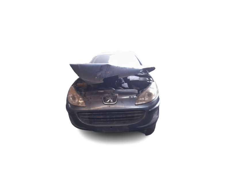 peugeot 407 (6d_) del año 2004