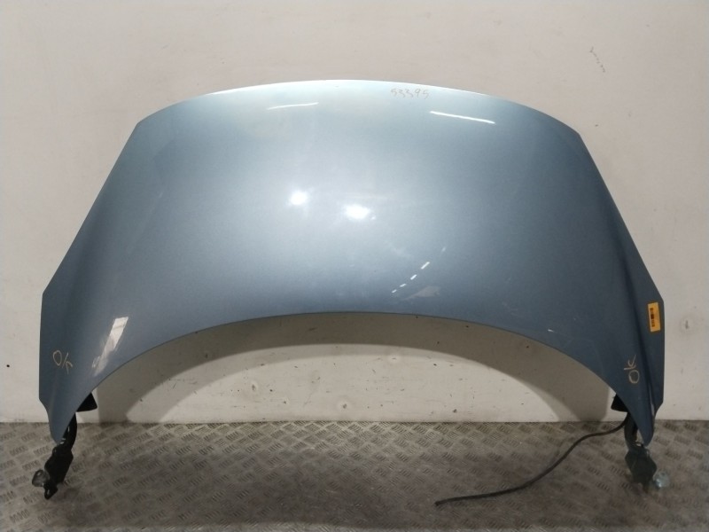 Recambio de capot delantero para renault scénic iii (jz0/1_) 1.5 dci referencia OEM IAM 651008842R  AZUL