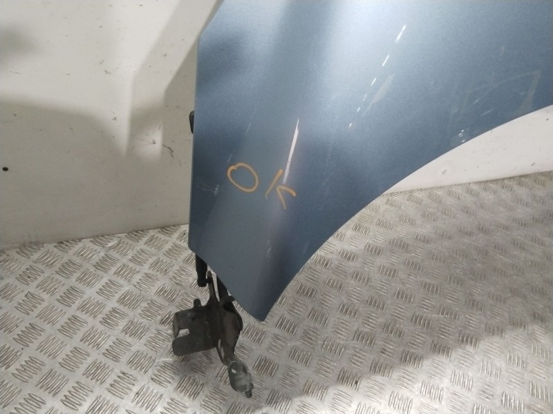 Recambio de capot delantero para renault scénic iii (jz0/1_) 1.5 dci referencia OEM IAM 651008842R  AZUL