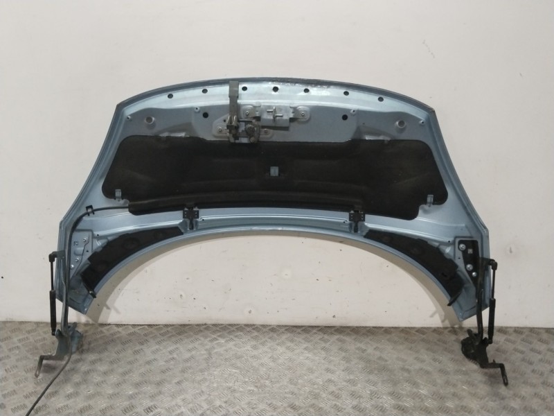 Recambio de capot delantero para renault scénic iii (jz0/1_) 1.5 dci referencia OEM IAM 651008842R  AZUL