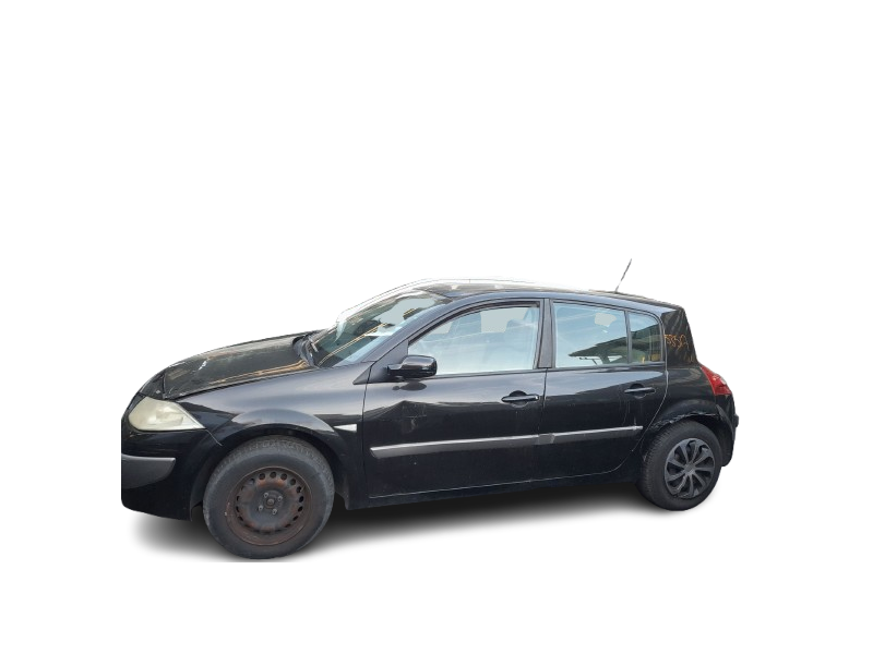 renault megane ii (bm0/1_, cm0/1_) del año 2007