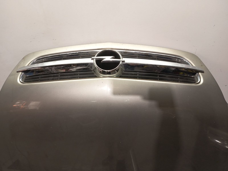 Recambio de capot delantero para opel vectra c (z02) 1.8 (f69) referencia OEM IAM 93184795  