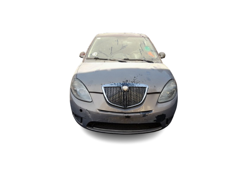 lancia ypsilon (843_) del año 2007