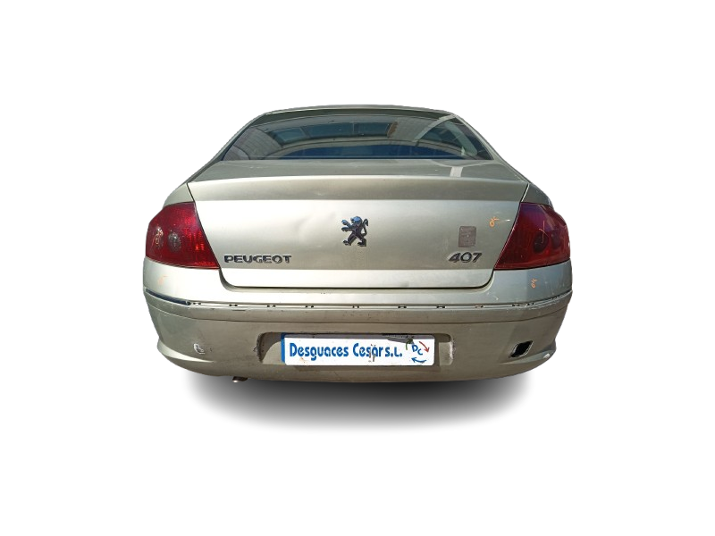 peugeot 407 (6d_) del año 2008