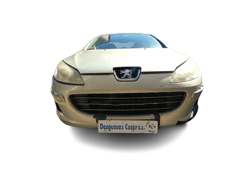 peugeot 407 (6d_) del año 2008