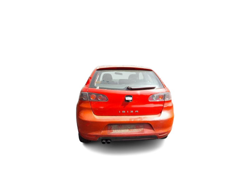 seat ibiza iii (6l1) del año 2007
