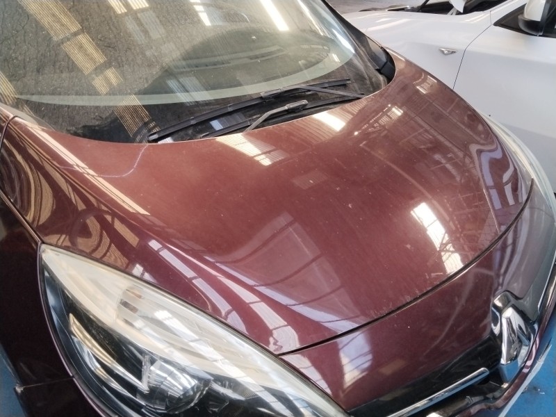 Recambio de capot delantero para renault scénic iii (jz0/1_) 1.2 tce (jz16) referencia OEM IAM 651008842R  