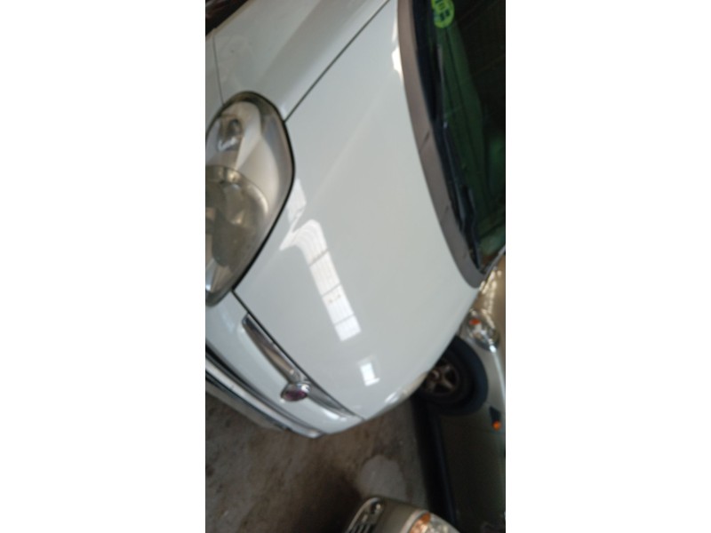 Recambio de capot delantero para fiat grande punto (199_) 1.6 d multijet referencia OEM IAM 0000051701140  