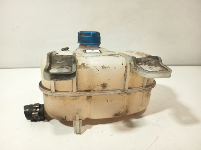 Recambio de deposito expansion para fiat grande punto (199_) 1.3 d multijet referencia OEM IAM 55700508  