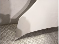 Recambio de capot delantero para citroën nemo furgoneta/monovolumen (aa_) 1.3 hdi 75 referencia OEM IAM 7901Q1   2