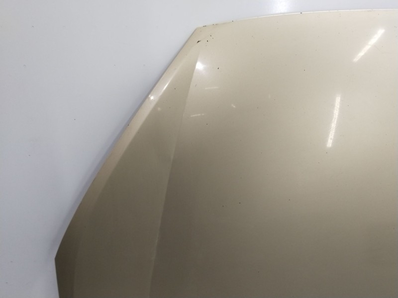 Recambio de capot delantero para ford galaxy ii (wa6) 2.0 tdci referencia OEM IAM 1569486  