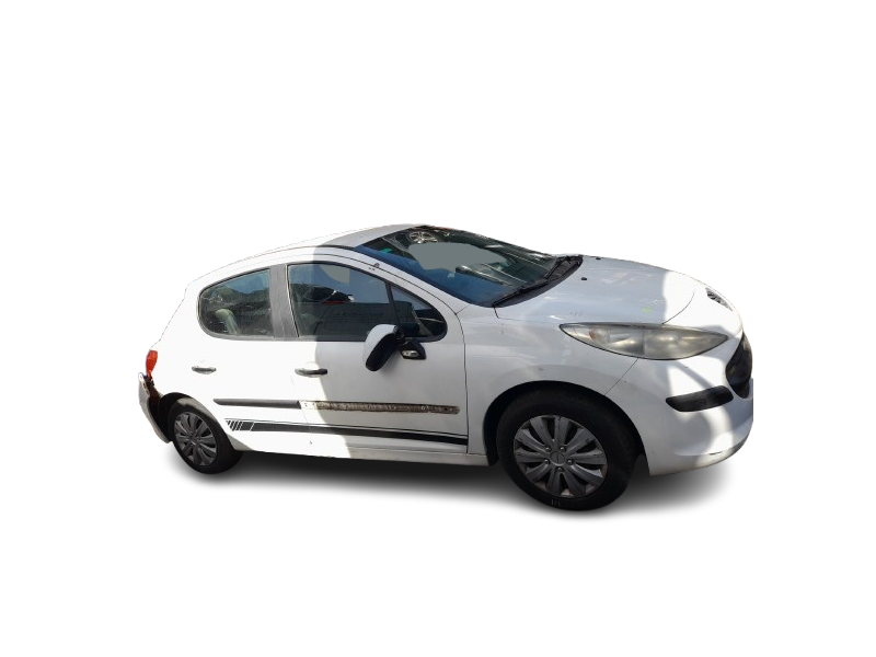 peugeot 207/207+ (wa_, wc_) del año 2007