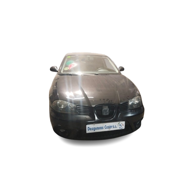 SEAT IBIZA III (6L1) - imagen 1