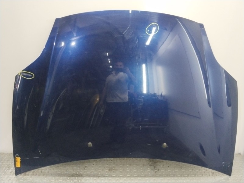 Recambio de capot para fiat bravo ii (198_) 1.9 d multijet (198axb1a) referencia OEM IAM 51775925  