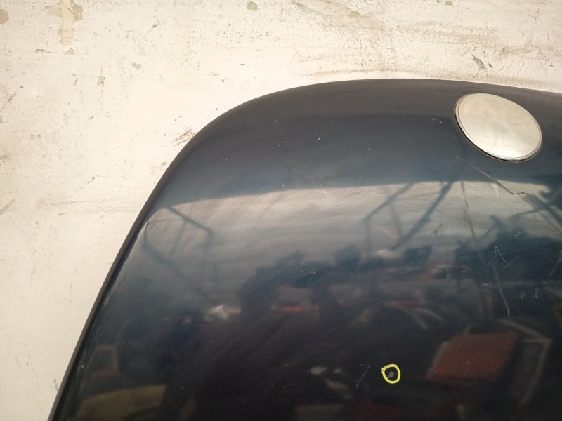 Recambio de capot para volkswagen new beetle (9c1/1c1) 1.9 tdi referencia OEM IAM  AZUL 