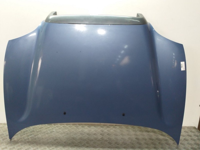 Recambio de capot para hyundai santa fe (sm) 2.4 gls 4x4 referencia OEM IAM 6640026020  