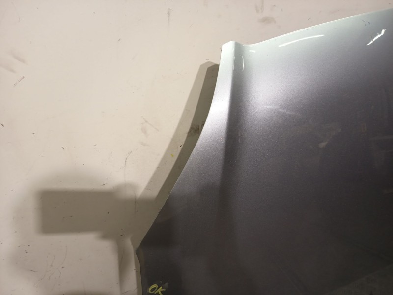 Recambio de capot para opel zafira / zafira family b (a05) 1.9 cdti (m75) referencia OEM IAM   