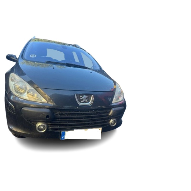 PEUGEOT 307 SW (3H) - imagen 1