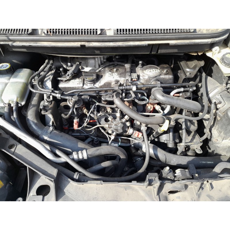 FORD FOCUS C-MAX (DM2) - imagen 3