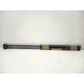 AMORTIGUADORES MALETERO / PORTON 1317TQ 