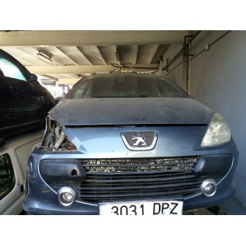 PEUGEOT 307 BREAK / SW (S1)