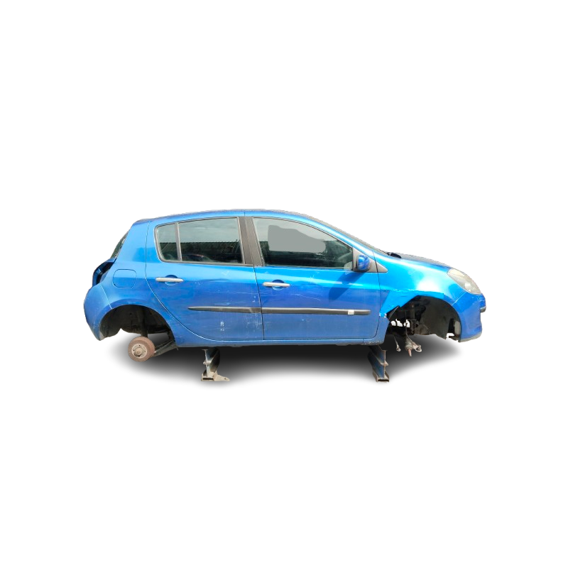 RENAULT CLIO III (BR0/1, CR0/1) - imagen 1