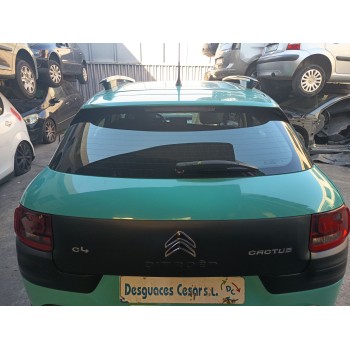 PORTON TRASERO 9800805380 